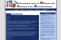 vignette du site