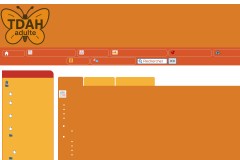 vignette du site